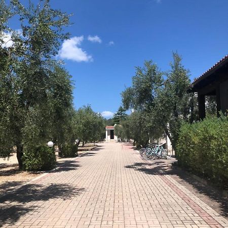 Tenuta Montincello Vieste Exteriör bild