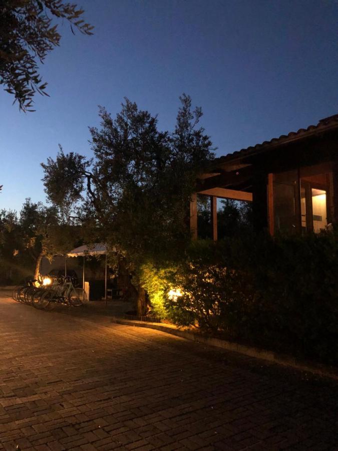 Tenuta Montincello Vieste Exteriör bild