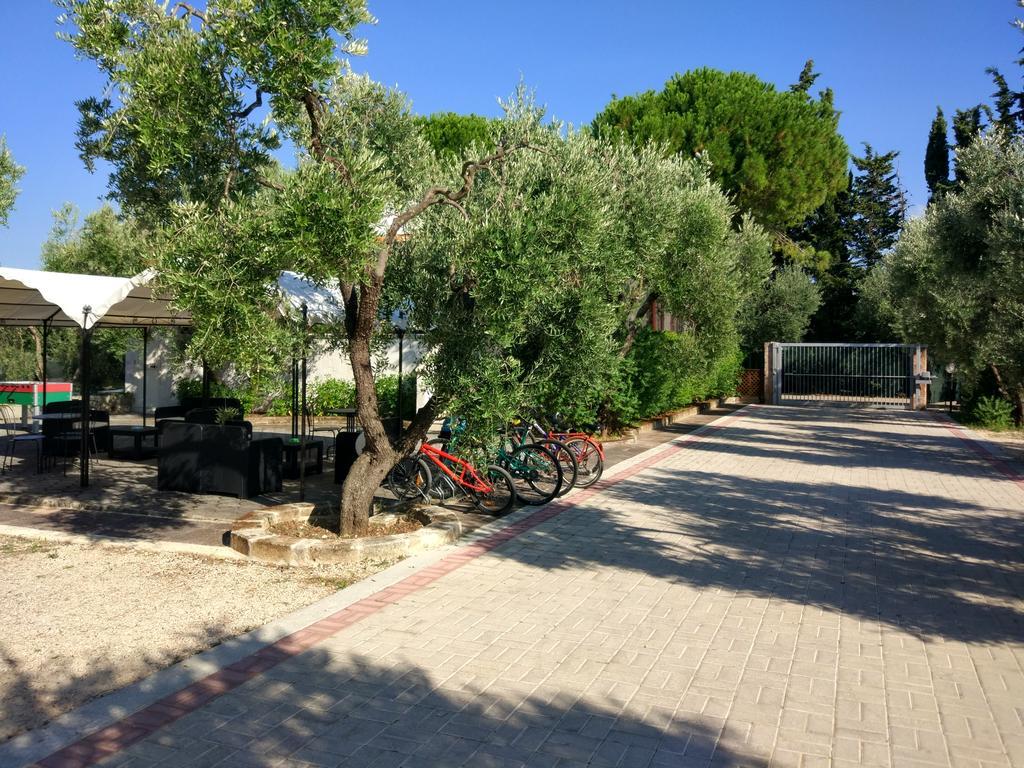 Tenuta Montincello Vieste Exteriör bild